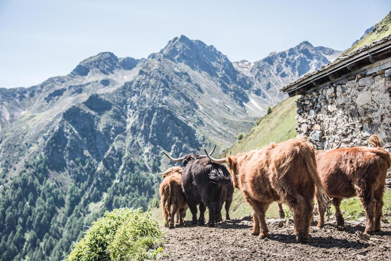 Archehof Hochzirm Lodge Anton Campo Tures Eksteriør billede